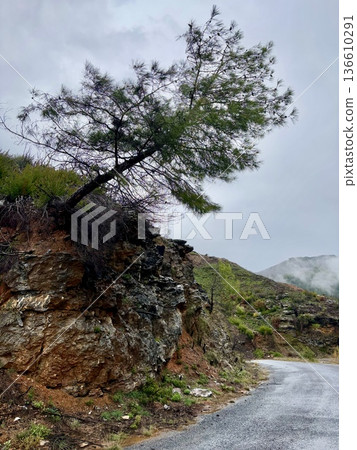 Misty mountain road. High quality photo 136610291