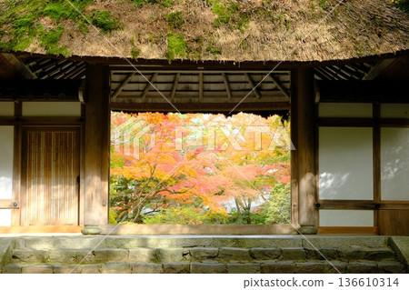Jokenin山門在秋天 Jokenin山門在秋天 136610314