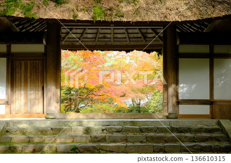Jokenin山門在秋天 136610315