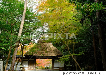 The mountain gate of Jokenin in autumn The mountain gate of Jokenin in autumn 136610316