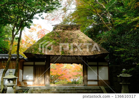 Jokenin山門在秋天 136610317