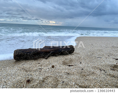 Driftwood sandy beach. High quality photo Driftwood sandy beach. High quality photo 136610443