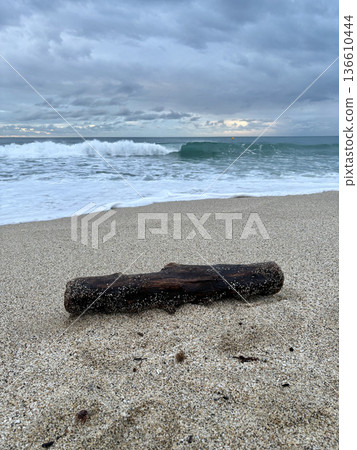 Driftwood sandy beach. High quality photo Driftwood sandy beach. High quality photo 136610444