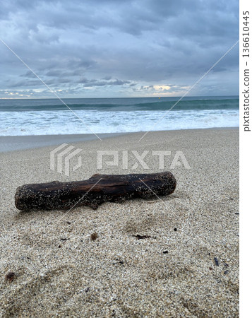 Driftwood sandy beach. High quality photo Driftwood sandy beach. High quality photo 136610445