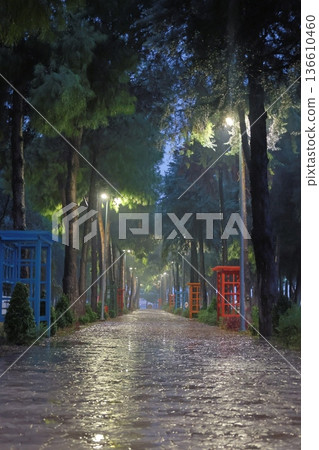 Green bench rain. High quality photo 136610460