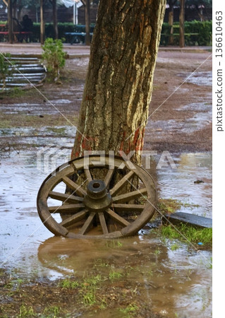Green bench rain. High quality photo 136610463