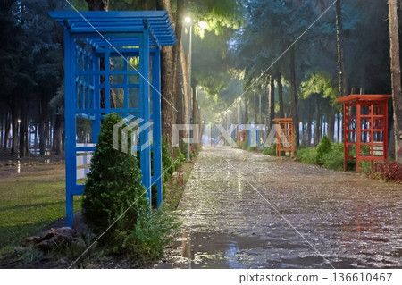 Green bench rain. High quality photo Green bench rain. High quality photo 136610467