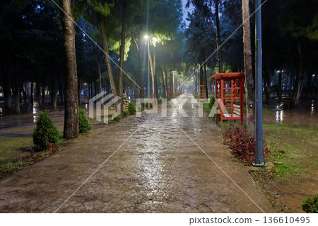 Green bench rain. High quality photo Green bench rain. High quality photo 136610495