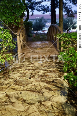 Green bench rain. High quality photo Green bench rain. High quality photo 136610499
