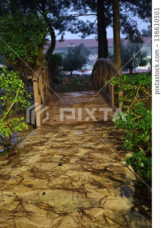 Green bench rain. High quality photo Green bench rain. High quality photo 136610501