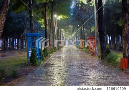 Green bench rain. High quality photo 136610509