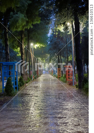 Green bench rain. High quality photo 136610513