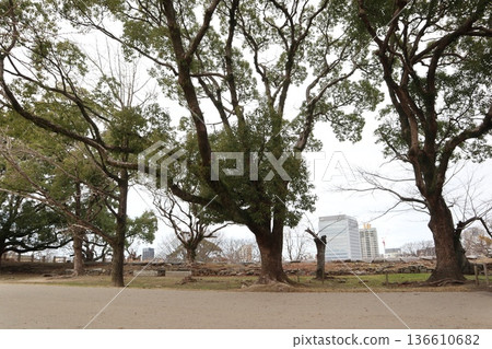 2024年，福岡，福岡市，景觀，中央區，城堡，福岡城遺址，第59部分 136610682