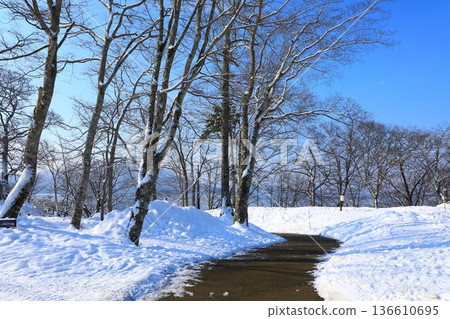 Snowy scenery along Lake Shikotsu Snowy scenery along Lake Shikotsu 136610695