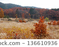 Autumn leaves and silver grass at Onbara Plateau 136610936