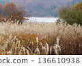 Autumn leaves and silver grass at Onbara Plateau 136610938