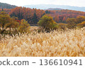 Autumn leaves and silver grass at Onbara Plateau 136610941