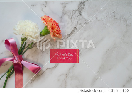 Carnation on Mother's Day Carnation on Mother's Day 136611300