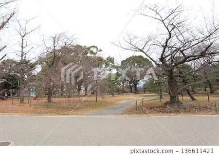 2024年，福岡，福岡市，景觀，中央區，城堡，福岡城遺址，第61部分 136611421