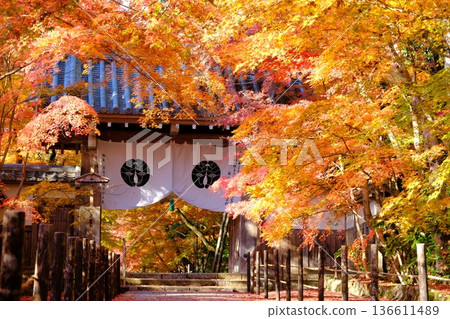 The approach to the Yakuimon Gate of Ao-Komyoji Temple in autumn The approach to the Yakuimon Gate of Ao-Komyoji Temple in autumn 136611489