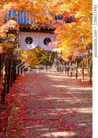 The approach to the Yakuimon Gate of Ao-Komyoji Temple in autumn The approach to the Yakuimon Gate of Ao-Komyoji Temple in autumn 136611492
