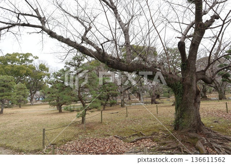 2024, Fukuoka, Fukuoka City, Scenery, Chuo Ward, Castle, Fukuoka Castle Ruins, Part 62 2024, Fukuoka, Fukuoka City, Scenery, Chuo Ward, Castle, Fukuoka Castle Ruins, Part 62 136611562