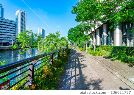[Kanagawa Prefecture] Yokohama's Waterfront Promenade, Abundant in Nature 136611737