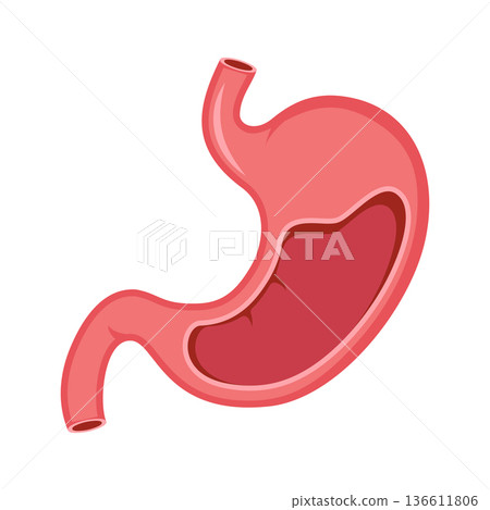 Gerd stomach icon in flat style. Reflux vector illustration on isolated background. Esophageal organ sign business concept. Gerd stomach icon in flat style. Reflux vector illustration on isolated background. Esophageal organ sign business concept. 136611806