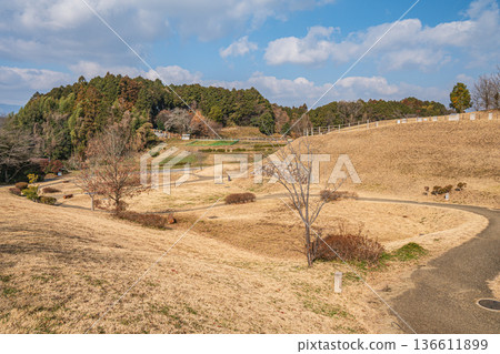 奈良縣明日香村Kitora Kofun 奈良縣明日香村Kitora Kofun 136611899