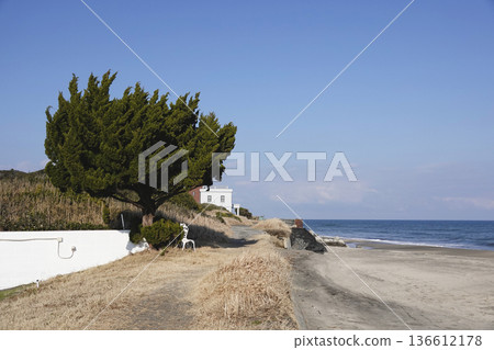White buildings and large evergreen trees along the coast 136612178