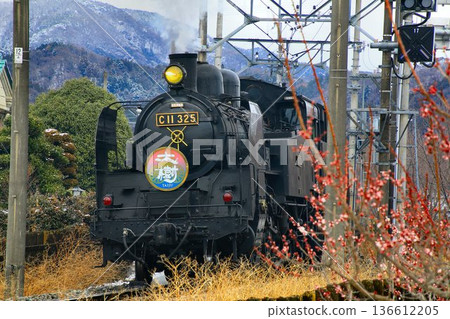 梅花與春雪…[SL Daiki] C11325 136612205