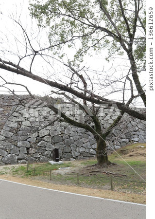 2024, Fukuoka, Fukuoka City, Scenery, Chuo Ward, Castle, Fukuoka Castle Ruins, Part 63 2024, Fukuoka, Fukuoka City, Scenery, Chuo Ward, Castle, Fukuoka Castle Ruins, Part 63 136612659