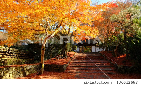 安樂寺大門的秋景 136612668