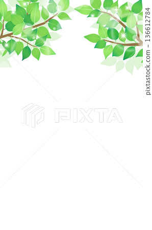 Fresh green frame 1_Vertical Fresh green frame 1_Vertical 136612784