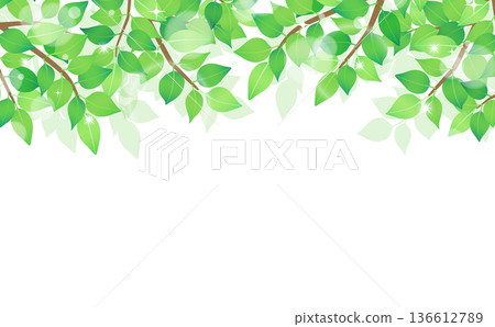 新鮮綠色框架 3_水平 新鮮綠色框架 3_水平 136612789