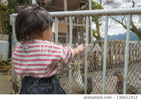 [Two-year-old looking at ducks] 136612912