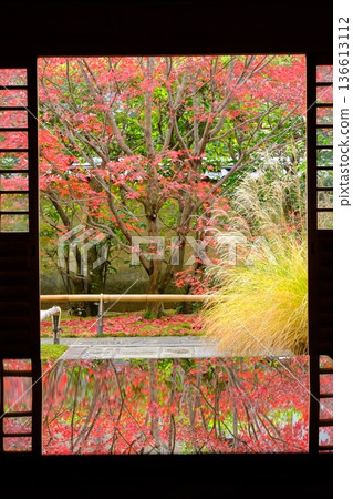 Autumn leaves at Korin-in Temple in Kyoto Autumn leaves at Korin-in Temple in Kyoto 136613112
