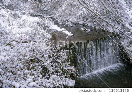 The fantastic Kifune River on a snowy day The fantastic Kifune River on a snowy day 136613126