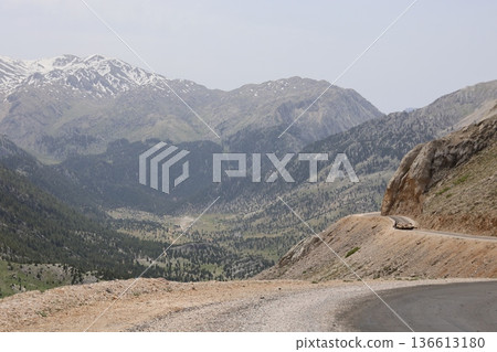 Shepherd leading sheep. Sheep mountain road High quality FullHD footage Shepherd leading sheep. Sheep mountain road High quality FullHD footage 136613180