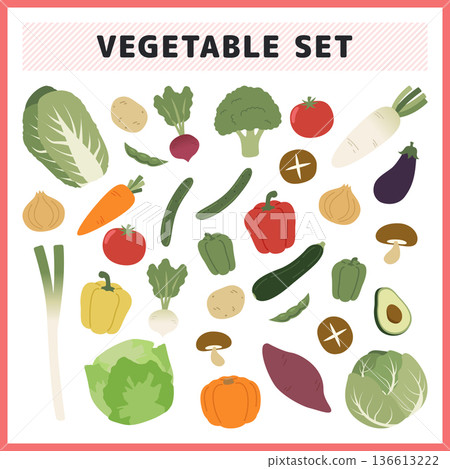 新鮮蔬菜插圖套裝。向量素材，可用於烹飪和菜單設計，包括生菜、大白菜、番茄、蘿蔔和南瓜。 136613222