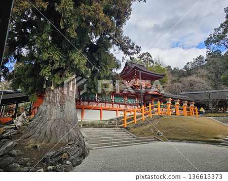 Kasuga Taisha Shrine, Kasugano-cho, Nara City, Nara Prefecture 136613373