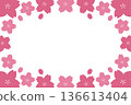 櫻花邊框，賞櫻，春天，插圖，向量圖 136613404