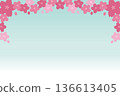 櫻花邊框，賞櫻，春天，插圖，向量圖 136613405