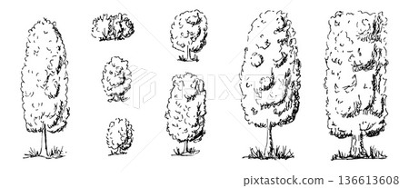 Black and white tree line drawings collection. Sketch forest illustrations with oak, pine, and maple outlines. Simple doodle art set for nature project. Vector doodle trees isolated on transparent bg Black and white tree line drawings collection. Sketch forest illustrations with oak, pine, and maple outlines. Simple doodle art set for nature project. Vector doodle trees isolated on transparent bg 136613608