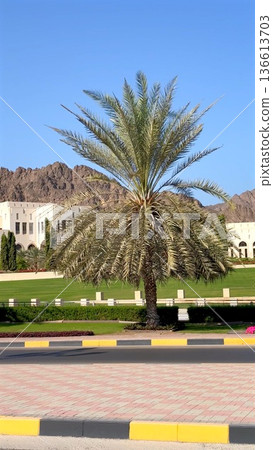 Serene Landscape Showing Greenery With White Structure Under Blue Sky. Tranquil Scene Depicting Lush Vegetation Surrounding White Building Beneath Bright Blue Sky Serene Landscape Showing Greenery With White Structure Under Blue Sky. Tranquil Scene Depicting Lush Vegetation Surrounding White Building Beneath Bright Blue Sky 136613703