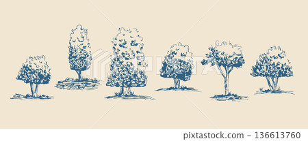 Sketch scribble collection of mediterranean forest trees and bushes. Hand-drawn botanical line art silhouettes. Blue ink nature illustrations for creative project. Vector tree doodle pencil shapes Sketch scribble collection of mediterranean forest trees and bushes. Hand-drawn botanical line art silhouettes. Blue ink nature illustrations for creative project. Vector tree doodle pencil shapes 136613760