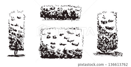 Hand-drawn tree sketches, black ink hedge. Simple doodle line topiary illustration set featuring plants and garden vegetation. Vector scribble naive brush stroke trees isolated on transparent bg Hand-drawn tree sketches, black ink hedge. Simple doodle line topiary illustration set featuring plants and garden vegetation. Vector scribble naive brush stroke trees isolated on transparent bg 136613762