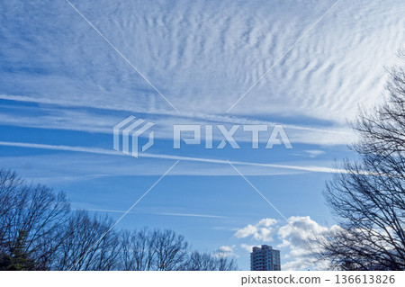 初春的天空，雲朵爭奇鬥艷 136613826