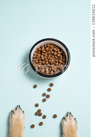 A bowl of dry food and dog paws on a blue background. A bowl of dry food and dog paws on a blue background. 136614812