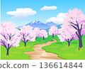 A simple illustration of cherry blossoms blooming in spring 136614844